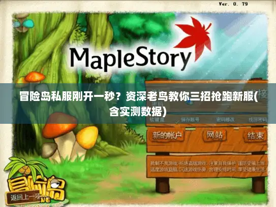 冒险岛私服刚开一秒？资深老鸟教你三招抢跑新服(含实测数据)