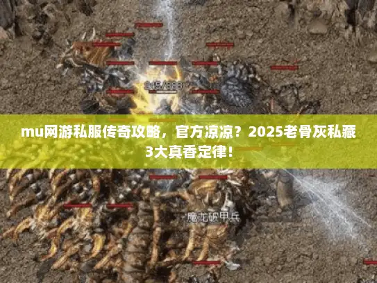 mu网游私服传奇攻略，官方凉凉？2025老骨灰私藏3大真香定律！