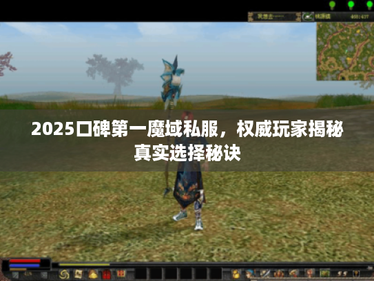 2025口碑第一魔域私服，权威玩家揭秘真实选择秘诀
