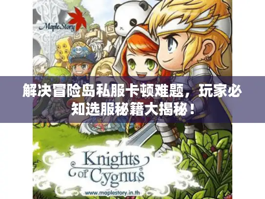 解决冒险岛私服卡顿难题，玩家必知选服秘籍大揭秘！