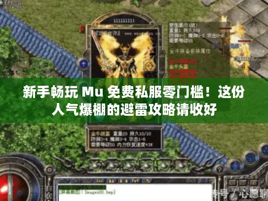新手畅玩 Mu 免费私服零门槛！这份人气爆棚的避雷攻略请收好
