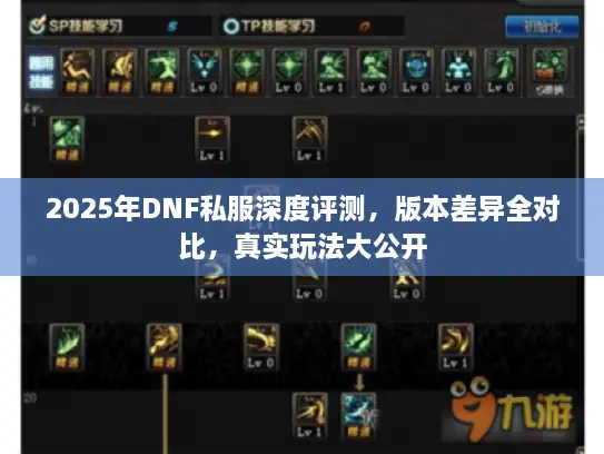 2025年DNF私服深度评测，版本差异全对比，真实玩法大公开