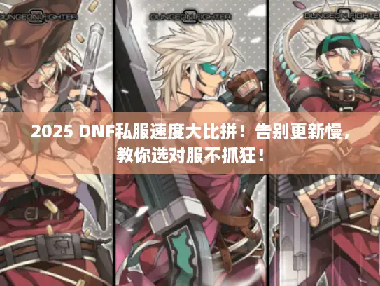 2025 DNF私服速度大比拼！告别更新慢，教你选对服不抓狂！