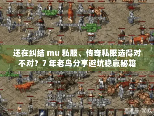 还在纠结 mu 私服、传奇私服选得对不对？7 年老鸟分享避坑稳赢秘籍