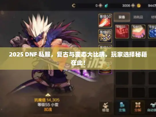 2025 DNF 私服，复古与变态大比拼，玩家选择秘籍在此！