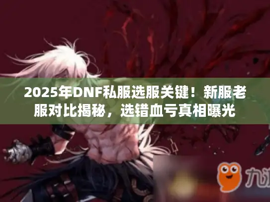 2025年DNF私服选服关键！新服老服对比揭秘，选错血亏真相曝光