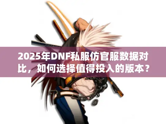 2025年DNF私服仿官服数据对比，如何选择值得投入的版本？