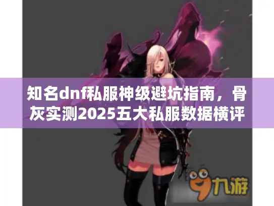 知名dnf私服神级避坑指南，骨灰实测2025五大私服数据横评