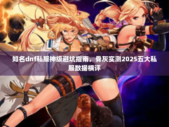 知名dnf私服神级避坑指南，骨灰实测2025五大私服数据横评