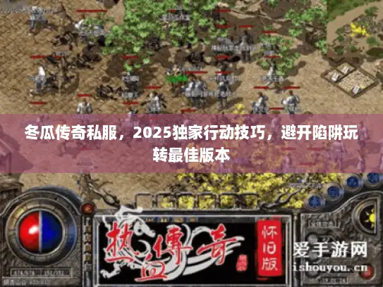 冬瓜传奇私服，2025独家行动技巧，避开陷阱玩转最佳版本