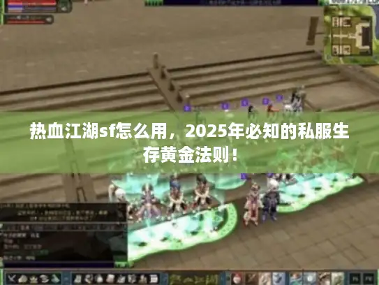 热血江湖sf怎么用，2025年必知的私服生存黄金法则！