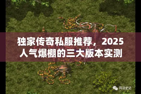 独家传奇私服推荐，2025人气爆棚的三大版本实测