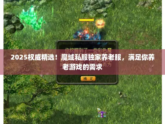 2025权威精选！魔域私服独家养老服，满足你养老游戏的需求