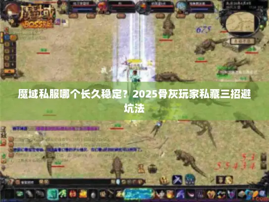 魔域私服哪个长久稳定？2025骨灰玩家私藏三招避坑法