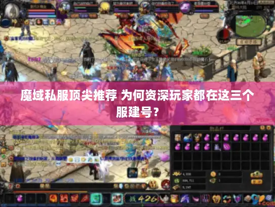 魔域私服顶尖推荐 为何资深玩家都在这三个服建号？