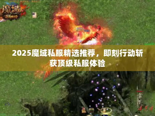 2025魔域私服精选推荐，即刻行动斩获顶级私服体验