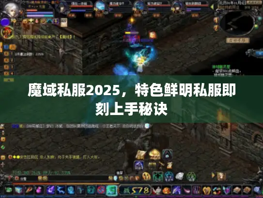 魔域私服2025，特色鲜明私服即刻上手秘诀