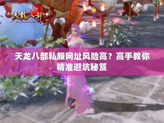 天龙八部私服网址风险高？高手教你精准避坑秘笈