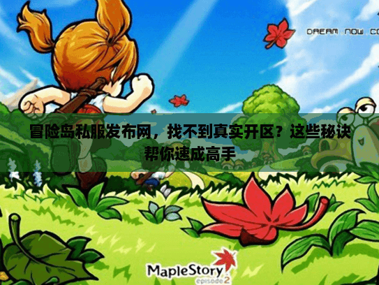 冒险岛私服发布网，找不到真实开区？这些秘诀帮你速成高手