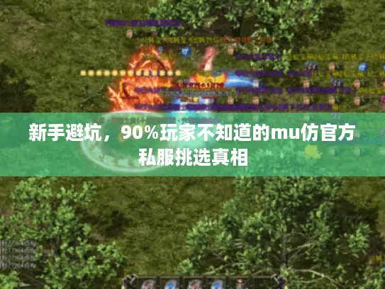 新手避坑，90%玩家不知道的mu仿官方私服挑选真相