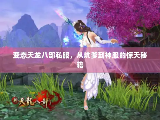 变态天龙八部私服，从坑爹到神服的惊天秘籍