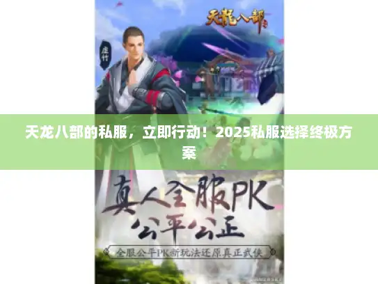 天龙八部的私服，立即行动！2025私服选择终极方案