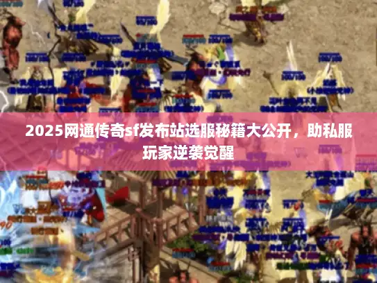 2025网通传奇sf发布站选服秘籍大公开，助私服玩家逆袭觉醒