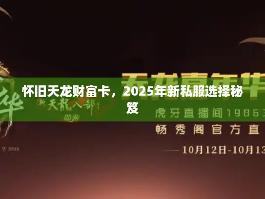 怀旧天龙财富卡,2025年新私服选择秘笈 怀旧天龙财富卡,2025年新私服选择秘笈