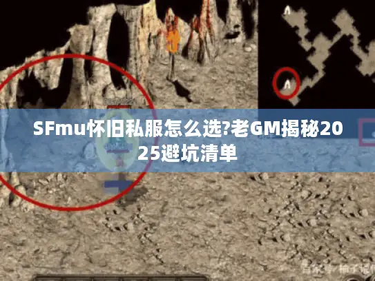 SFmu怀旧私服怎么选?老GM揭秘2025避坑清单