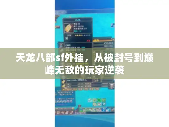 天龙八部sf外挂，从被封号到巅峰无敌的玩家逆袭