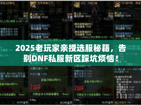2025老玩家亲授选服秘籍，告别DNF私服新区踩坑烦恼！