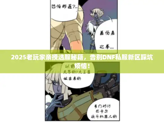 2025老玩家亲授选服秘籍，告别DNF私服新区踩坑烦恼！