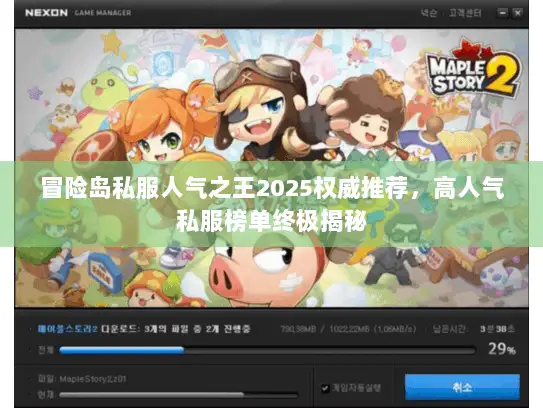 冒险岛私服人气之王2025权威推荐，高人气私服榜单终极揭秘