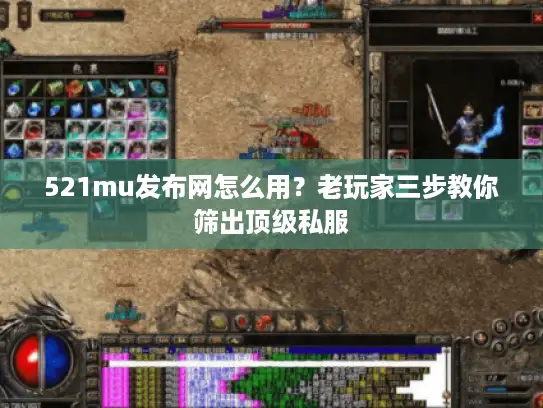 521mu发布网怎么用？老玩家三步教你筛出顶级私服