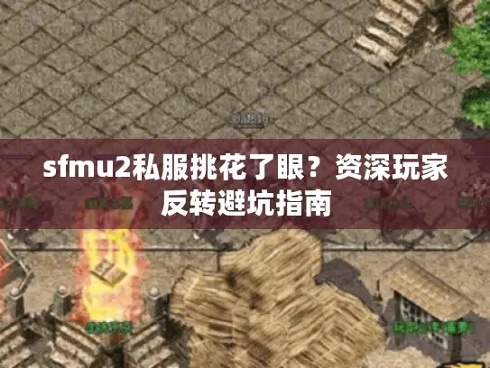 sfmu2私服挑花了眼？资深玩家反转避坑指南