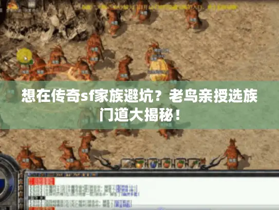 想在传奇sf家族避坑？老鸟亲授选族门道大揭秘！