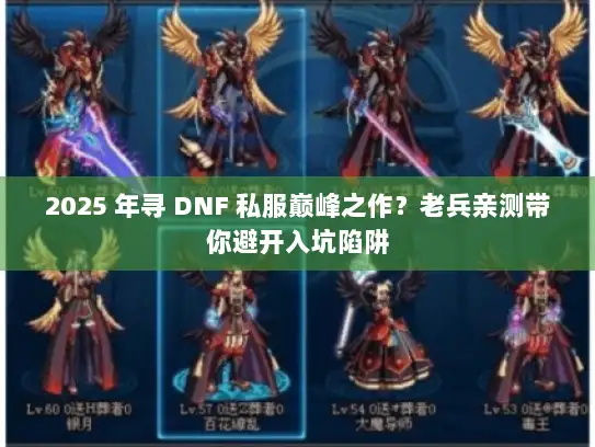 2025 年寻 DNF 私服巅峰之作？老兵亲测带你避开入坑陷阱