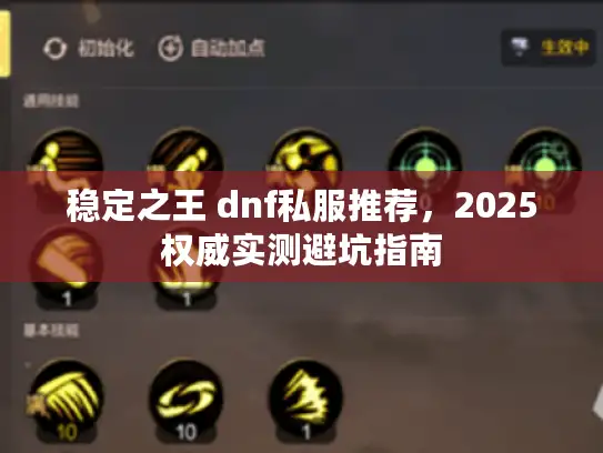 稳定之王 dnf私服推荐，2025权威实测避坑指南