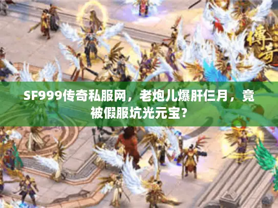 SF999传奇私服网，老炮儿爆肝仨月，竟被假服坑光元宝？