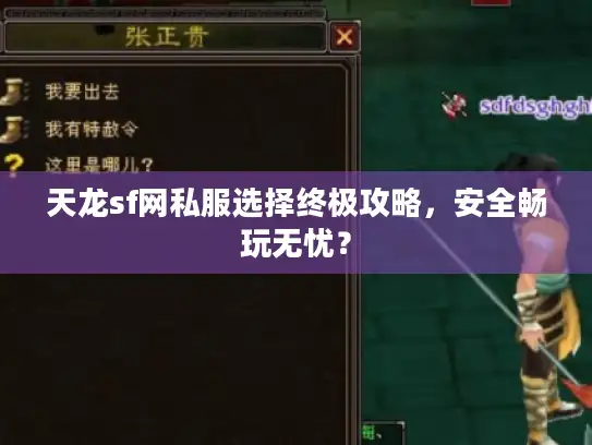 天龙sf网私服选择终极攻略,安全畅玩无忧? 天龙sf网私服选择终极攻略,安全畅玩无忧?