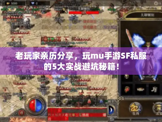 老玩家亲历分享，玩mu手游SF私服的5大实战避坑秘籍！