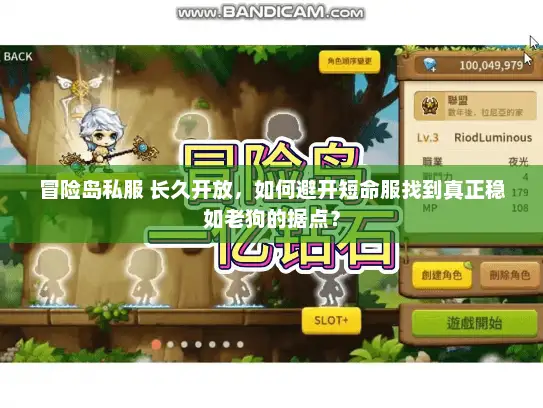冒险岛私服 长久开放，如何避开短命服找到真正稳如老狗的据点？