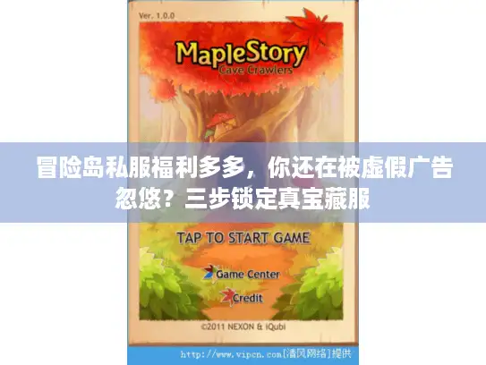 冒险岛私服福利多多，你还在被虚假广告忽悠？三步锁定真宝藏服