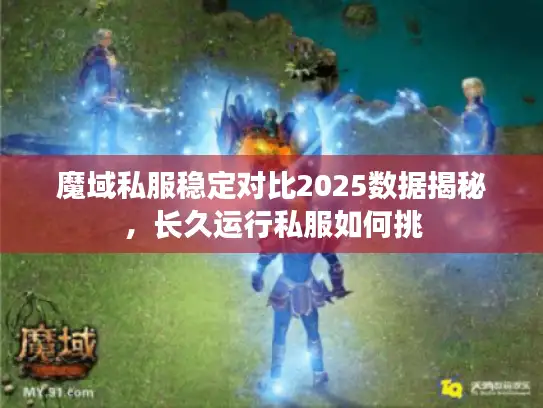 魔域私服稳定对比2025数据揭秘,长久运行私服如何挑 魔域私服稳定对比2025数据揭秘,长久运行私服如何挑