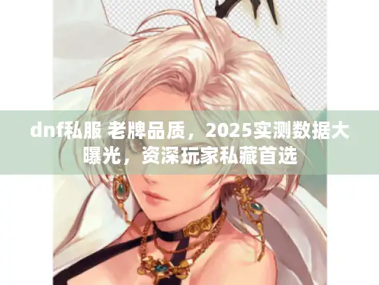 dnf私服 老牌品质，2025实测数据大曝光，资深玩家私藏首选