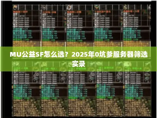 MU公益SF怎么选？2025年0坑爹服务器筛选实录
