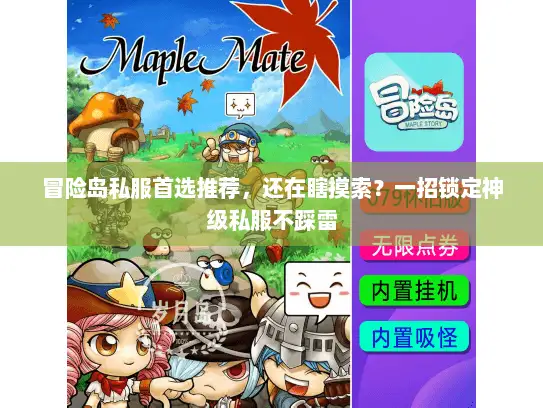 冒险岛私服首选推荐，还在瞎摸索？一招锁定神级私服不踩雷