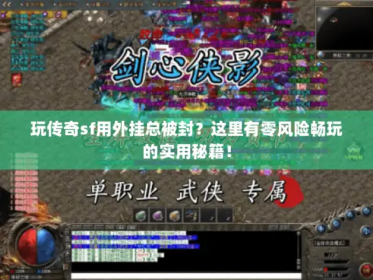 玩传奇sf用外挂总被封？这里有零风险畅玩的实用秘籍！