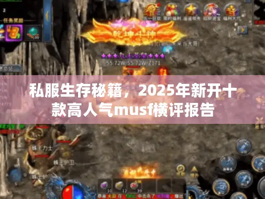 私服生存秘籍，2025年新开十款高人气musf横评报告
