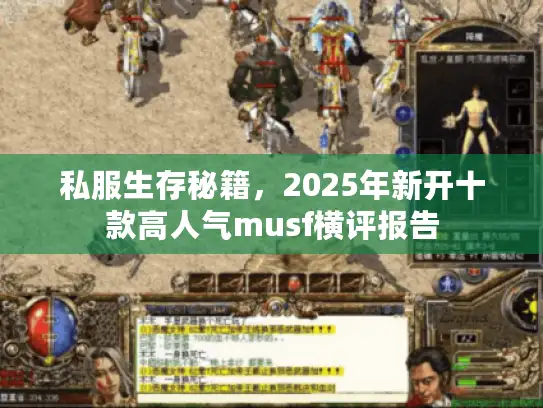 私服生存秘籍，2025年新开十款高人气musf横评报告